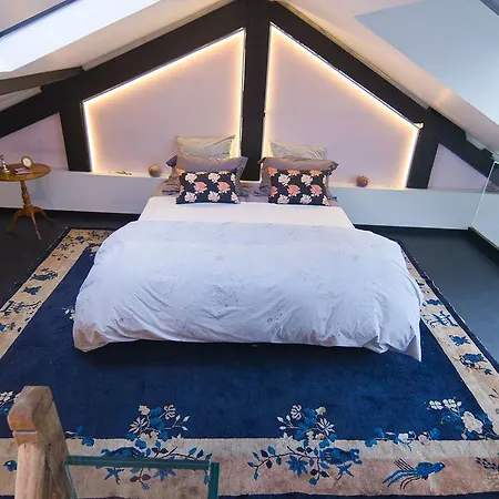 Bed & Breakfast Studios Bed & Breakfast - Le Jardin De Montmartre 3*